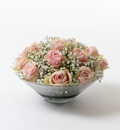 Rosa rosedekorasjon Rosa rosedekorasjon